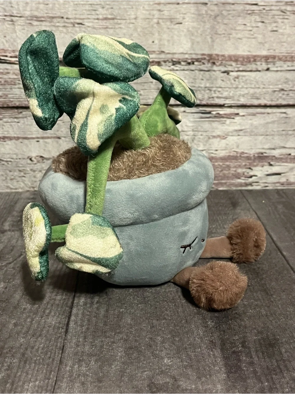 New! greenhouse by RUSS pothos planter “Chloe”